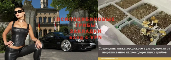 мескалин Белокуриха