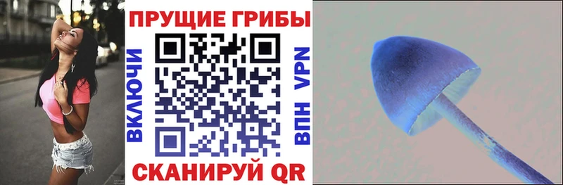Псилоцибиновые грибы MAGIC MUSHROOMS  как найти закладки  Реж 